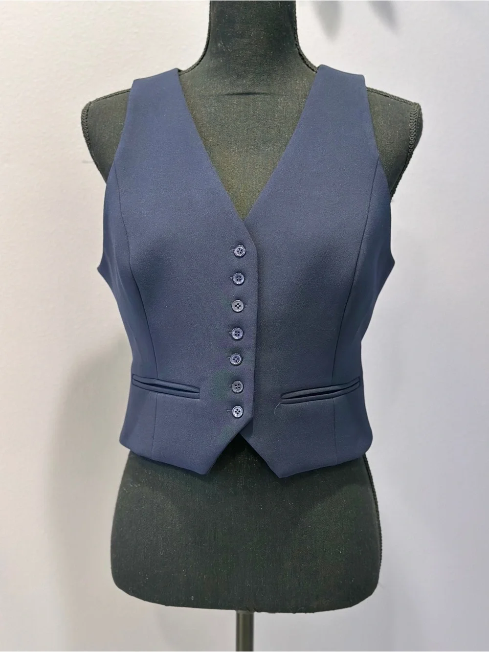 Favorite Daughter M navy button up cropped vest